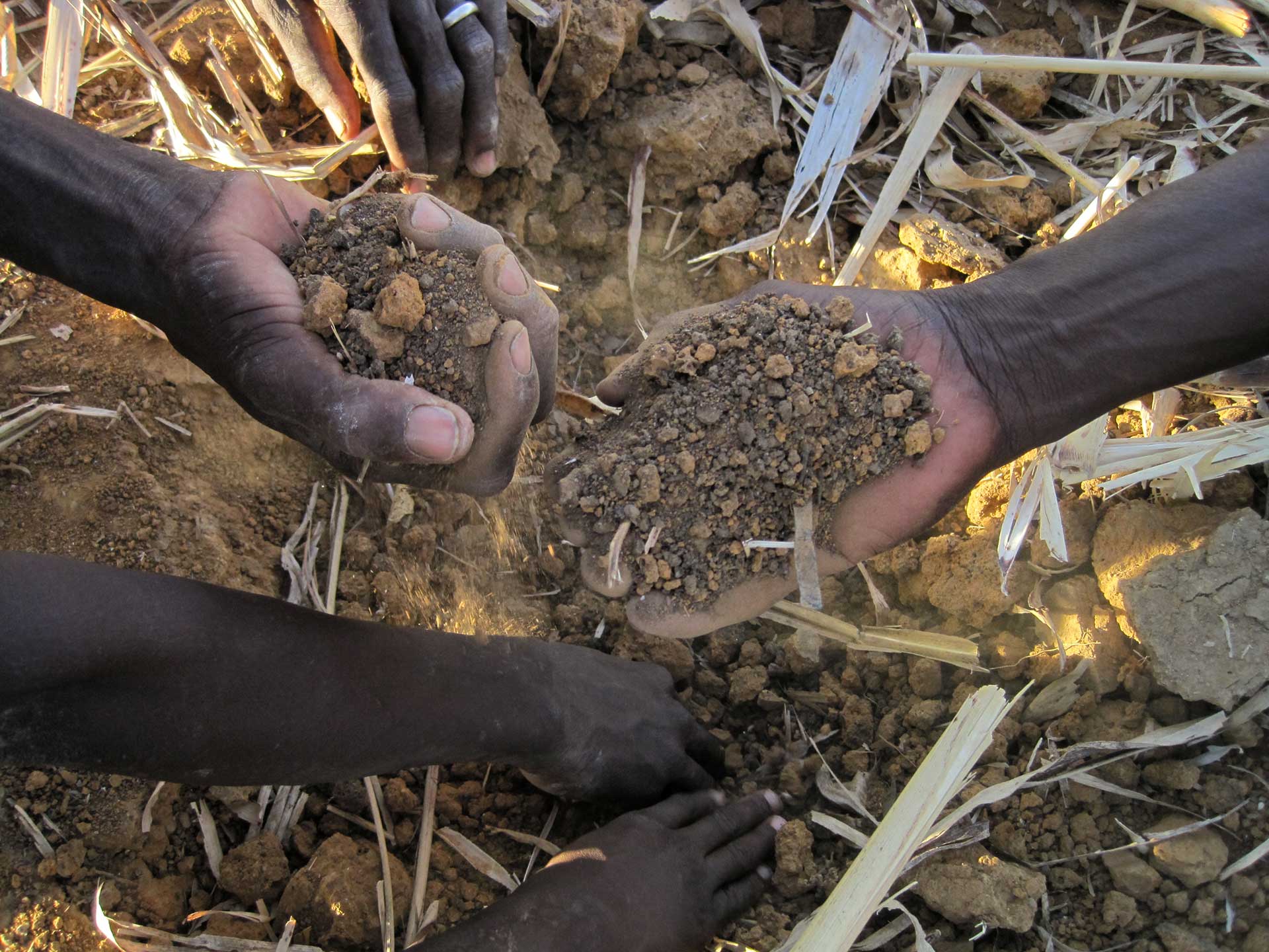 mains terre agroécologie