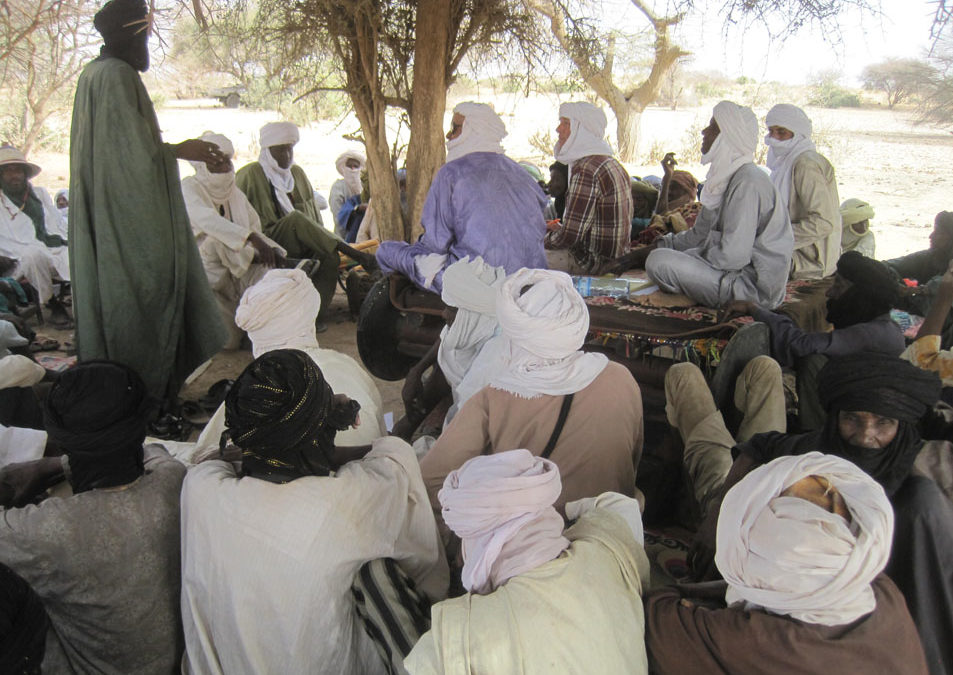 Diagnostic participatif au Niger