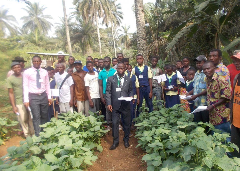 Cameroun  un centre de formation agricole • RAESF